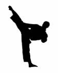 kung_fu.jpg