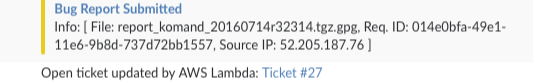 slack-bug-report.png