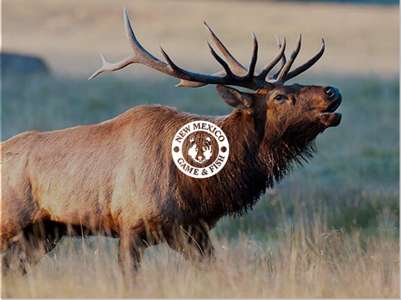 New Mexico Department of Game and Fish Relies on Rapid7