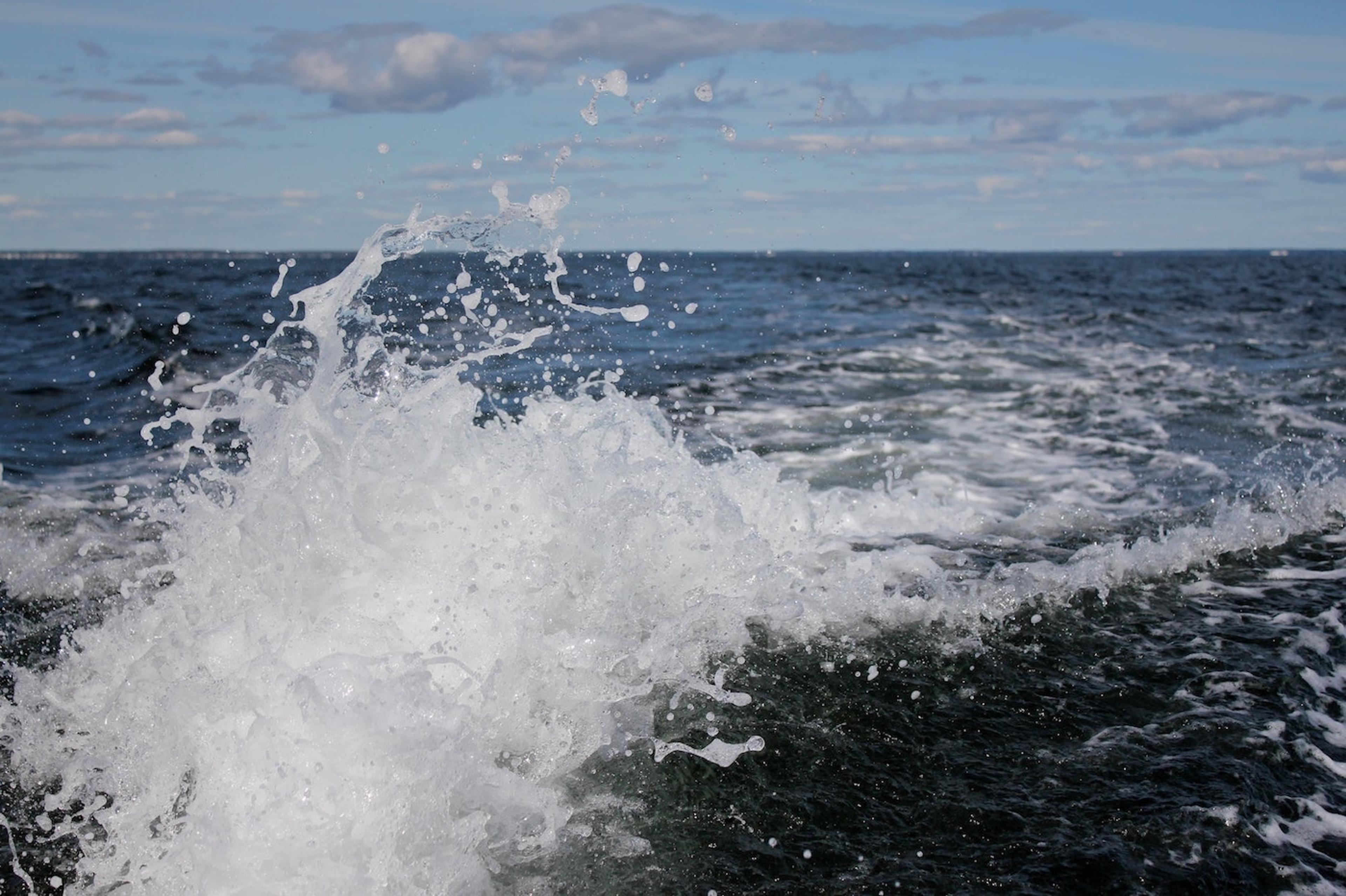 Rsunk your Battleship: An Ocean of Data Exposed through Rsync