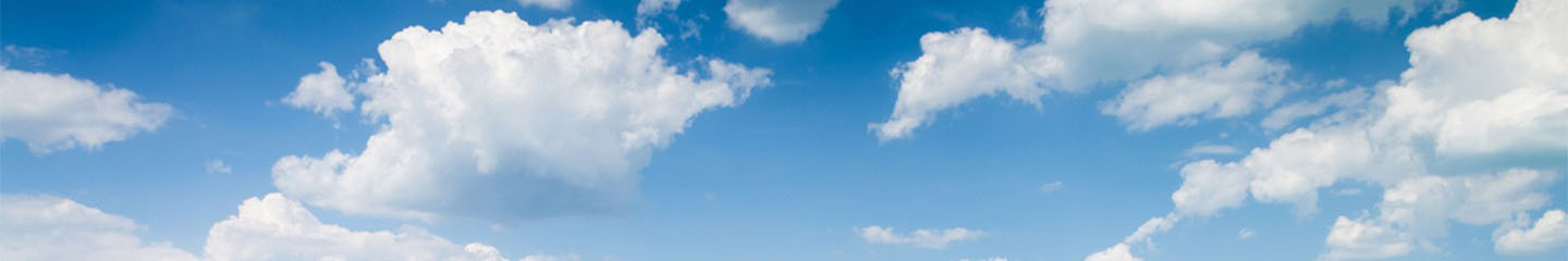 Overcome Nephophobia - Don't be a Shadow IT Ostrich!