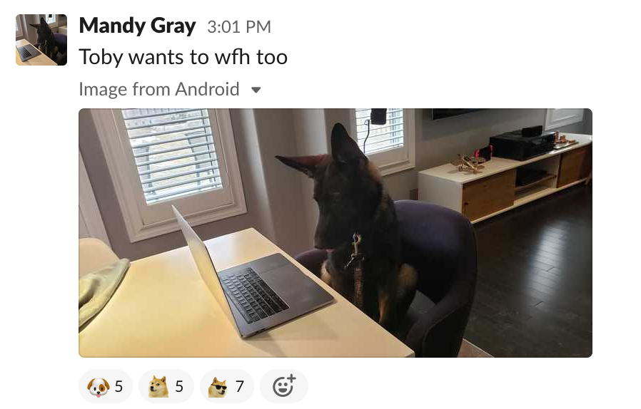 rapid7wfh1.png