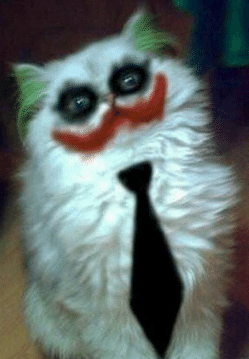 why-so-serious.png