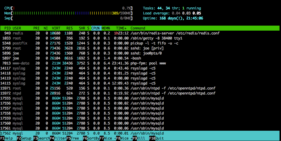 htop-linux-performance-monitoring-tools.png
