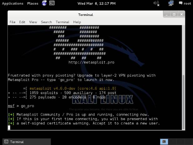 metasploit-kali-go_pro.jpg