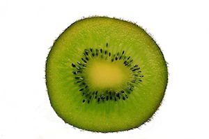 Kiwi1.1-1.jpg