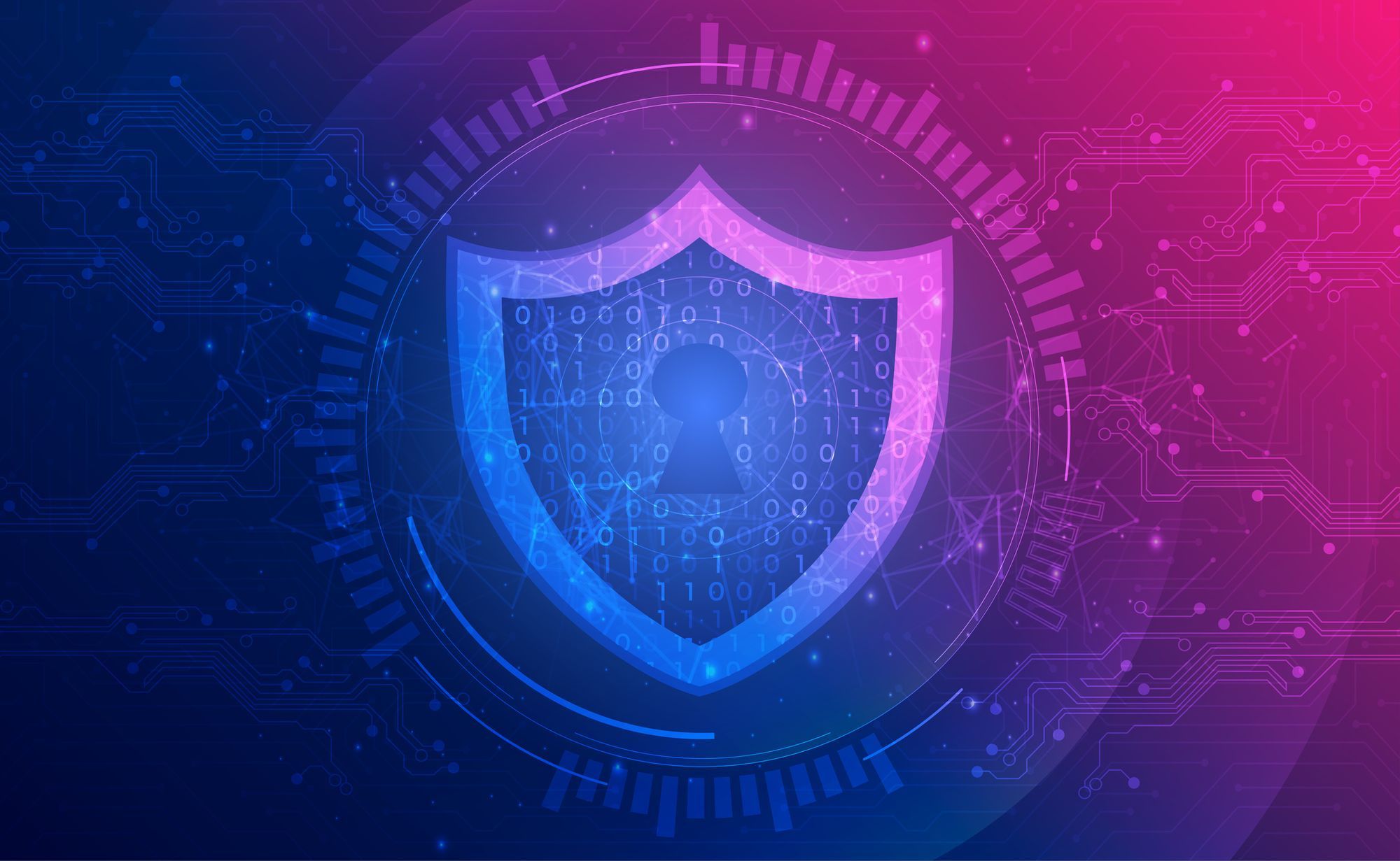 Year in Review: Rapid7 Vulnerability Management