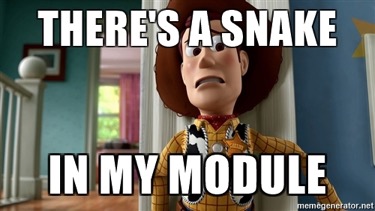 metasploit-snake-in-module.jpg
