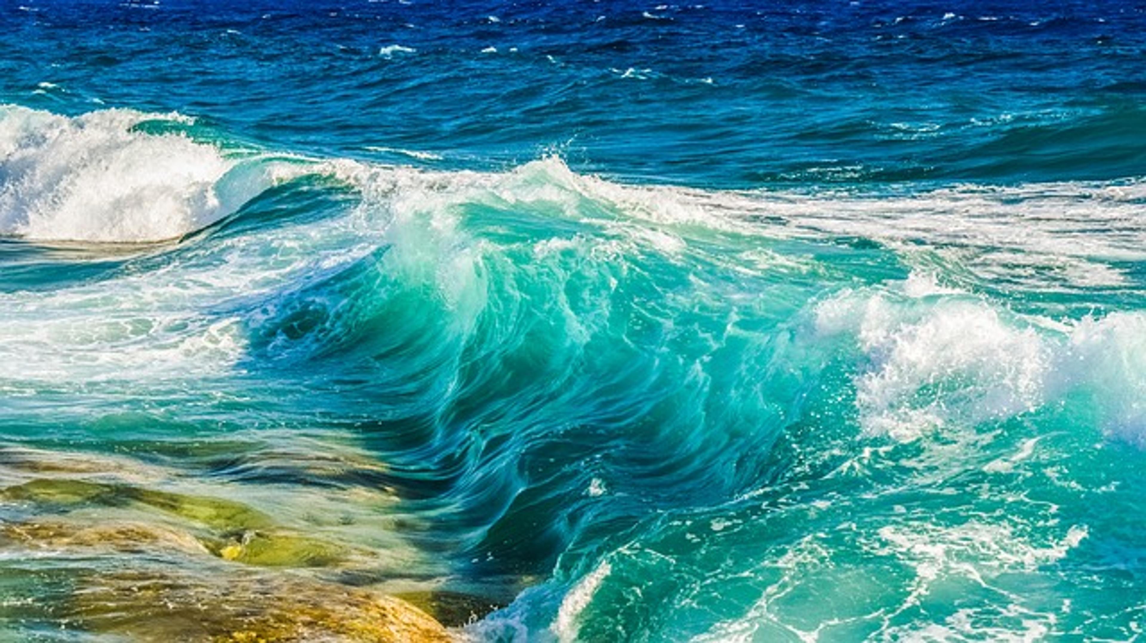 Rapid7 Named a Leader in Forrester Wave for Vulnerability Risk Management