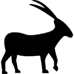 capricorn-goat-animal-shape-of-zodiac-sign.png