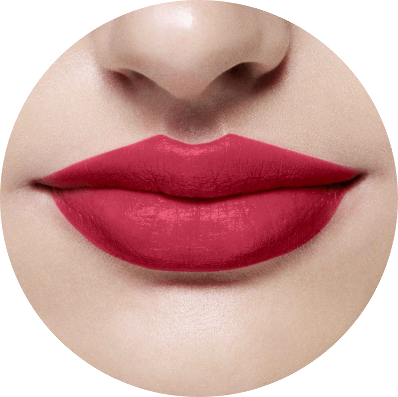 สีลิปอาร์ทิสทรี 102