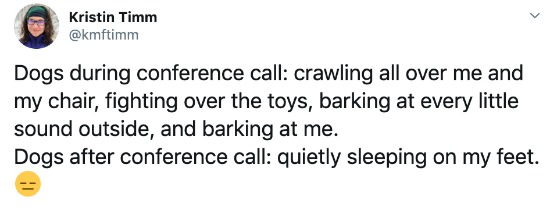 dogs-on-conference-calls.jpg