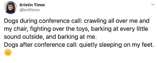 dogs-on-conference-calls.jpg