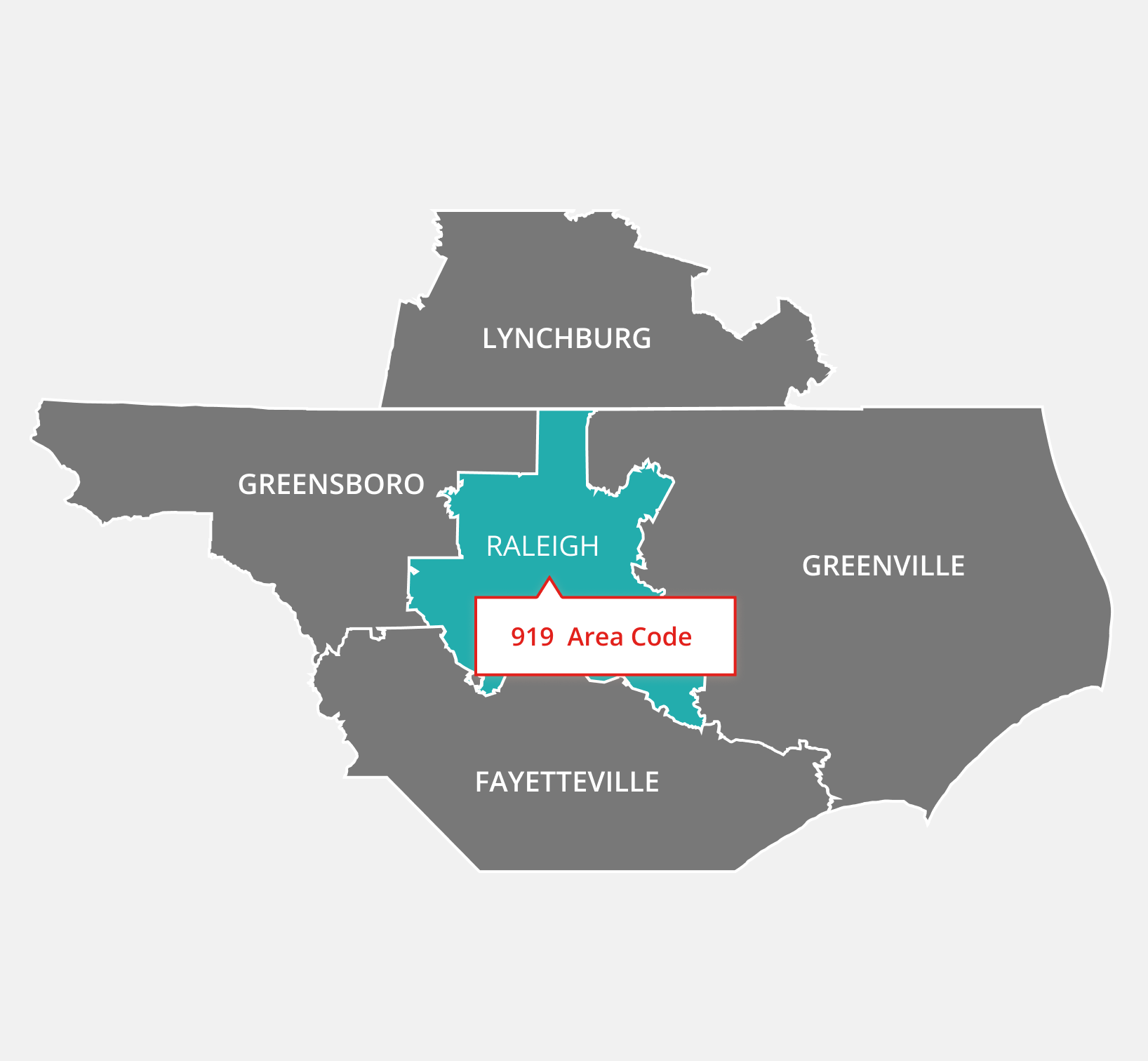 919 Area Code I Raleigh Local Phone Numbers | 8x8