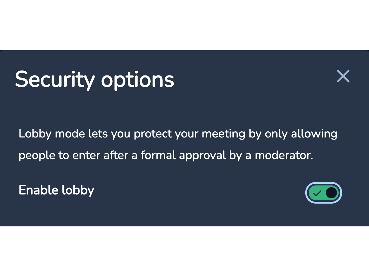 Advanced video conferencing security options