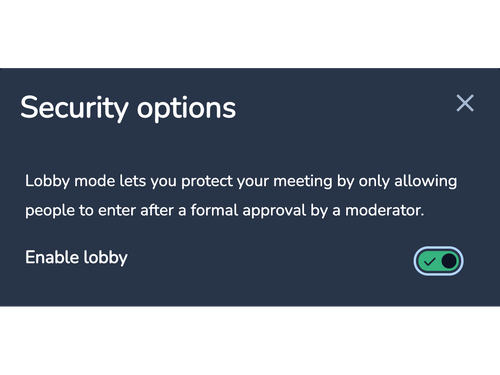 Advanced video conferencing security options