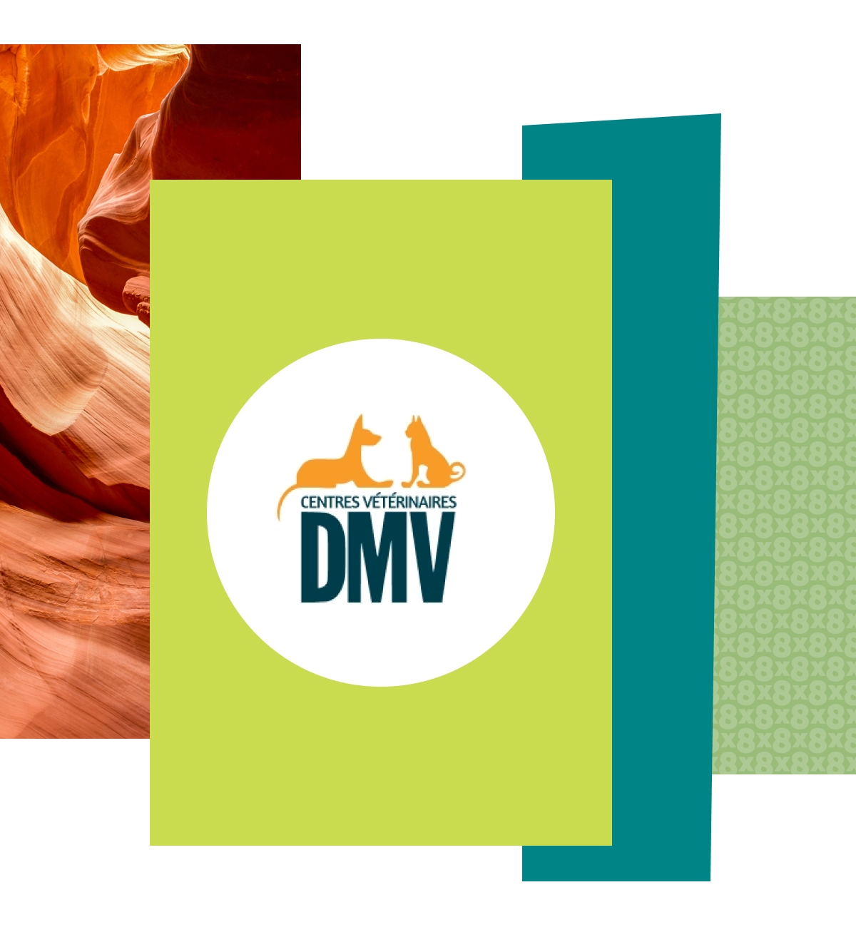 Preview of DMV Vet Center customer quote and case study highlighting efficient communication solutions leveraged by the customer thanks to 8x8's technology