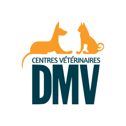 Logo for DMV Veterinary Centre