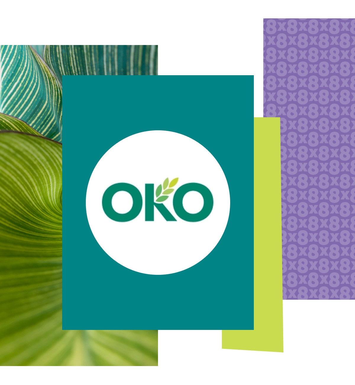 OKO case study