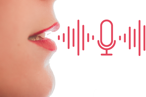 Voice Recognition in IVR