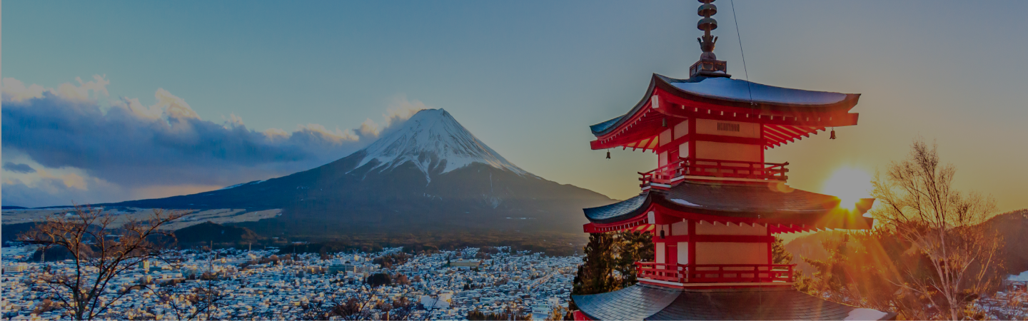 international call to japan from us