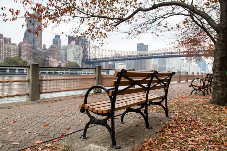 New_York_Bronx.jpg