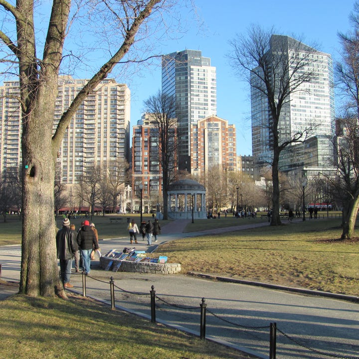 Boston_Common_January.jpg