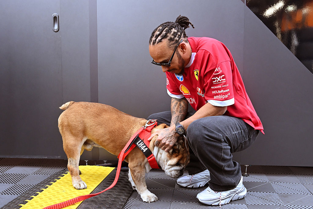 Hamilton moved by ‘overwhelming’ support after death of dog Roscoe