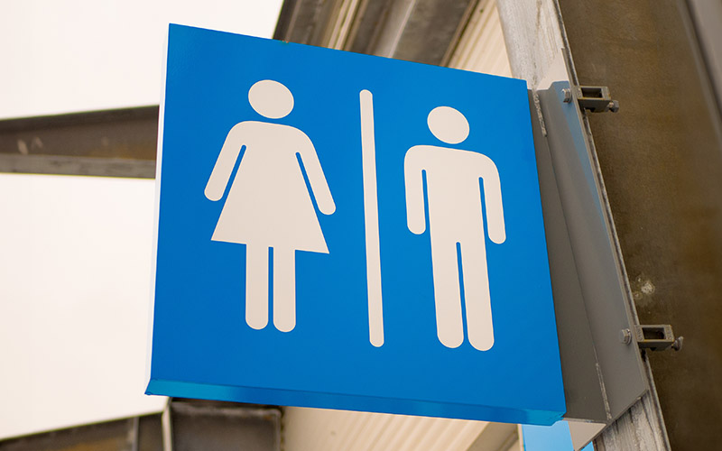 A blue square sign with white pictograms representing a female figure on the left and a male figure on the right, separated by a vertical white line, indicating gender-specific restrooms.