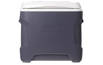 An Igloo iceless cooler.