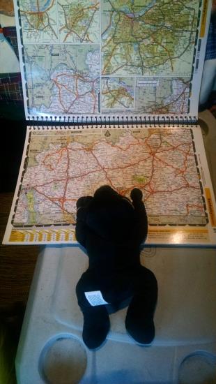 A stuffed black panther positioned on top of an open map book as if reading off directions.