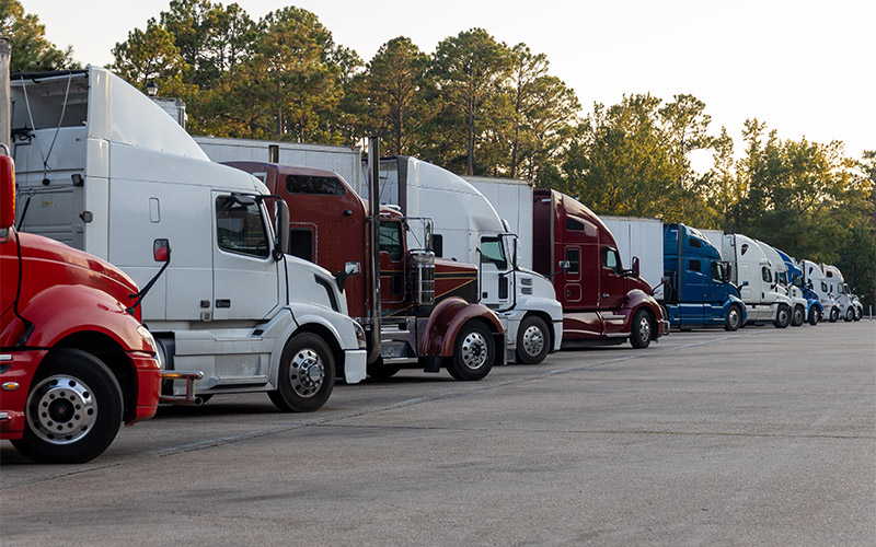 An array of semi-trucks in various colors parked in an organized manner at a truck stop, with a backdrop of green trees under a clear sky.