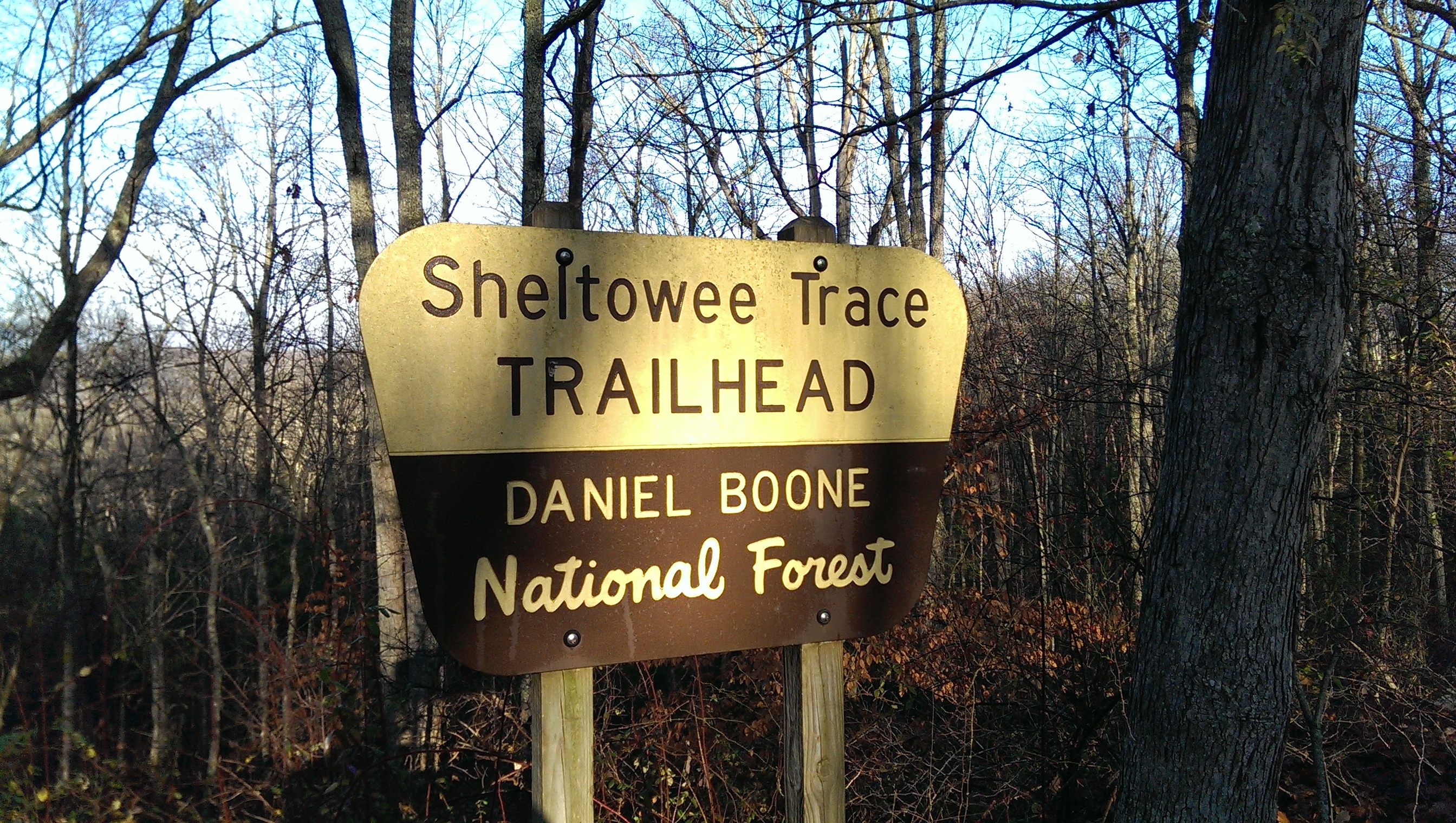 A sign marks the Shawnee Trace Trailhead in the Daniel Boone National Forest.