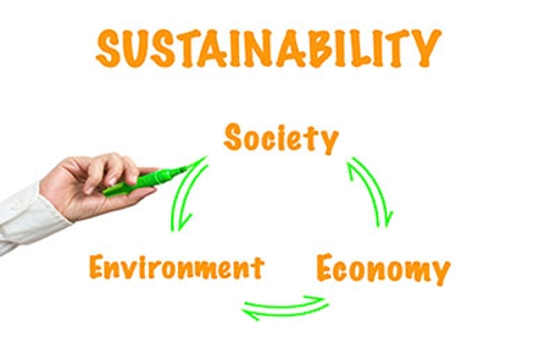 Schneider Sustainability