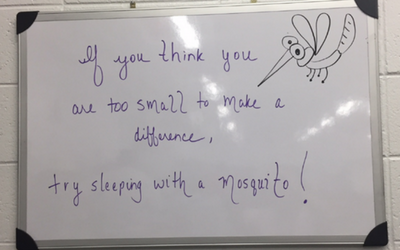 If you think you are too small to make a difference, try sleeping with a mosquito.
