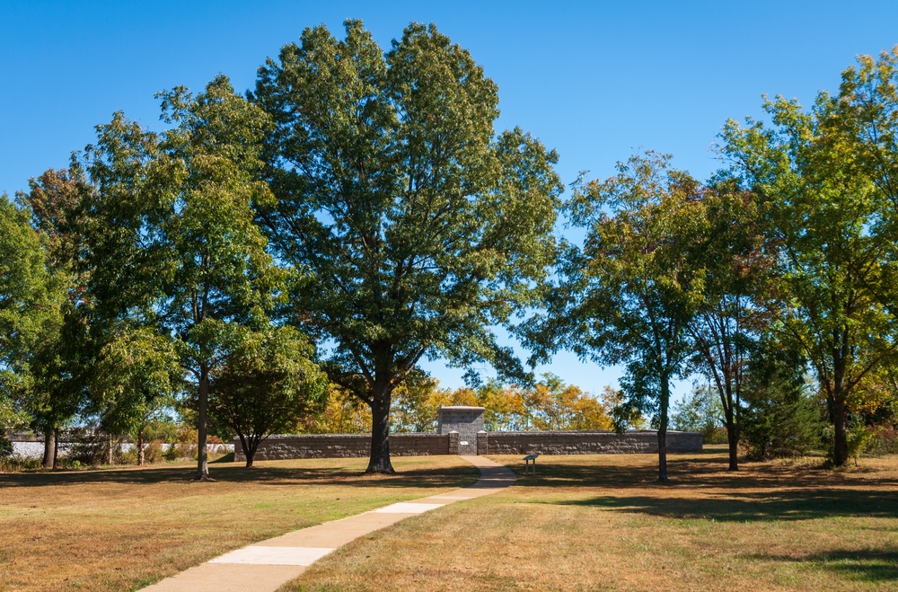 Adventures at Stones River Greenway