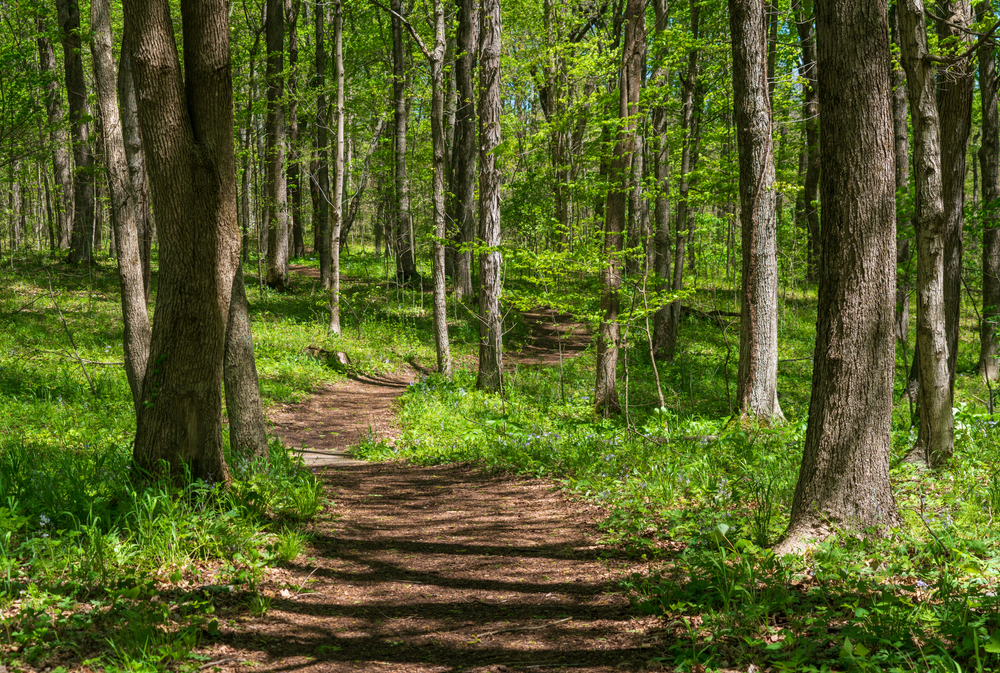 Natural Beauty and Outdoor Recreation