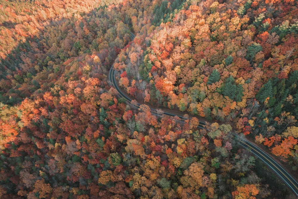 Cherohala Skyway Scenic Drives