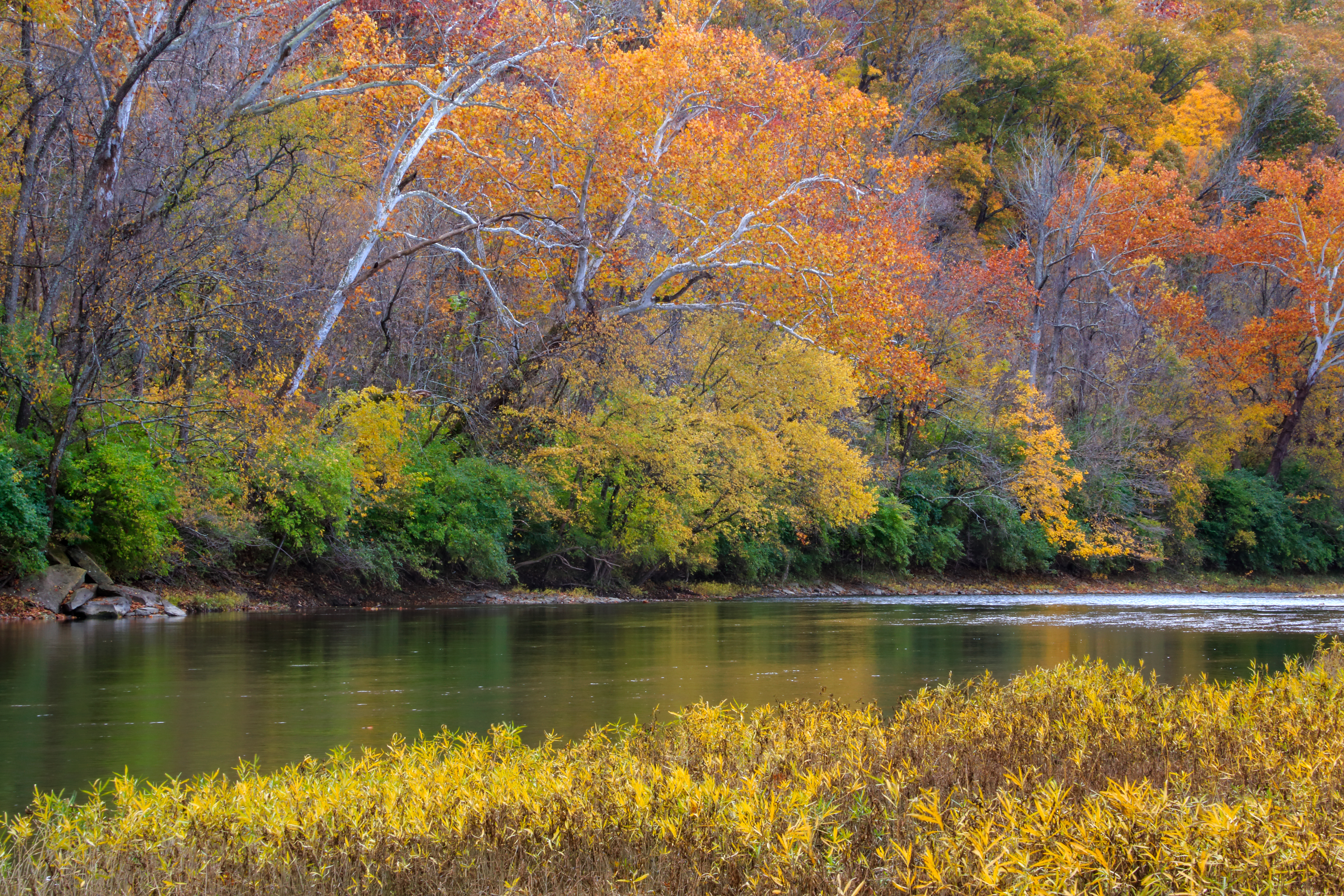 Little Miami Scenic River Access