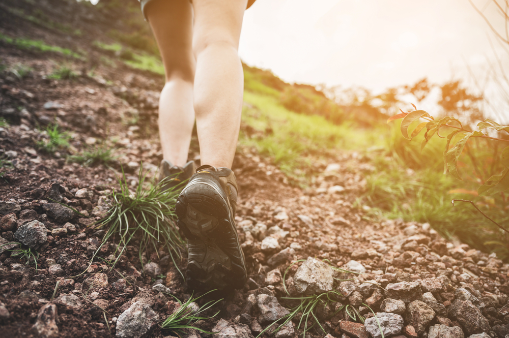 Scenic Rural Beauty and Outdoor Recreation