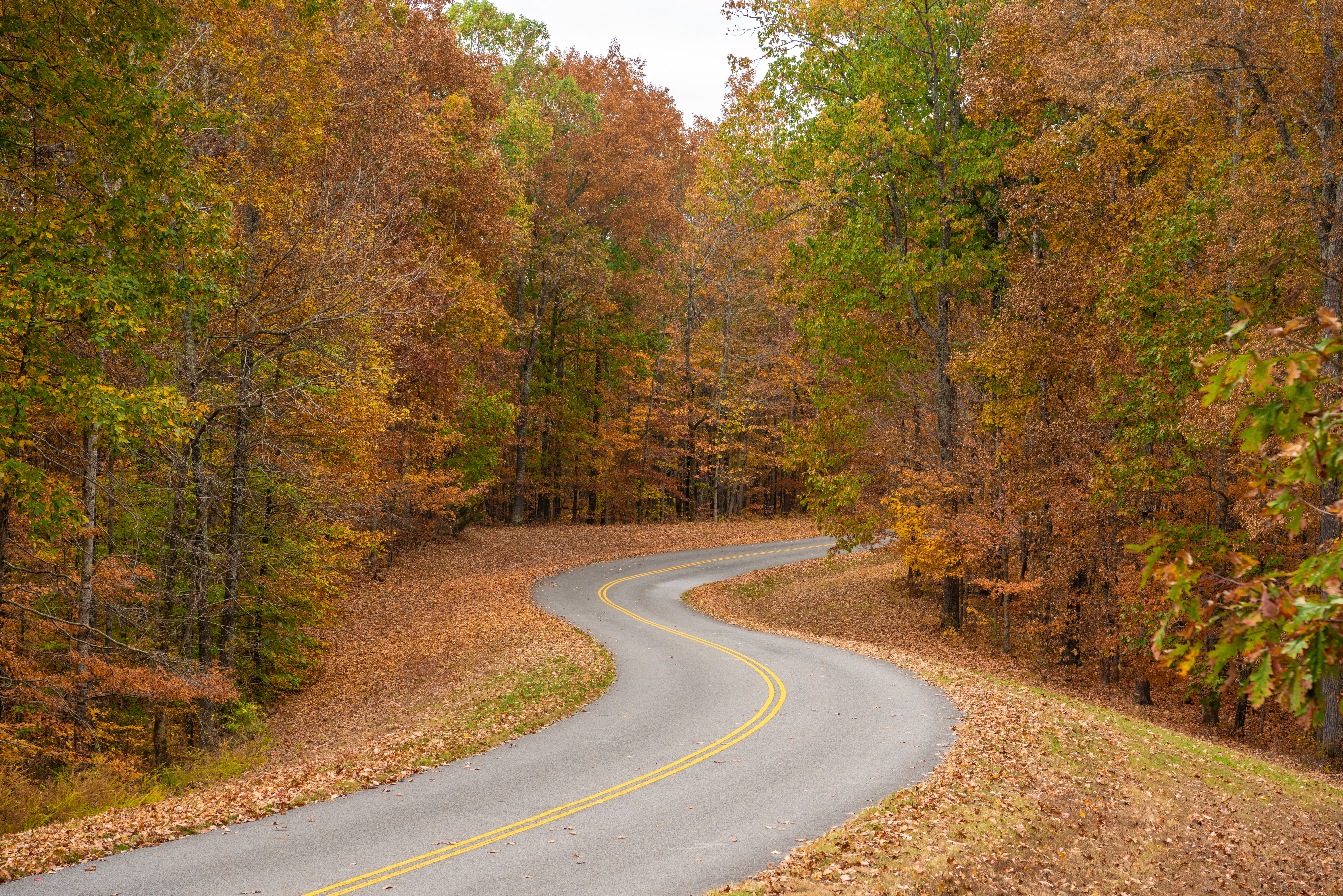 Natchez Trace Parkway's Scenic Beauty