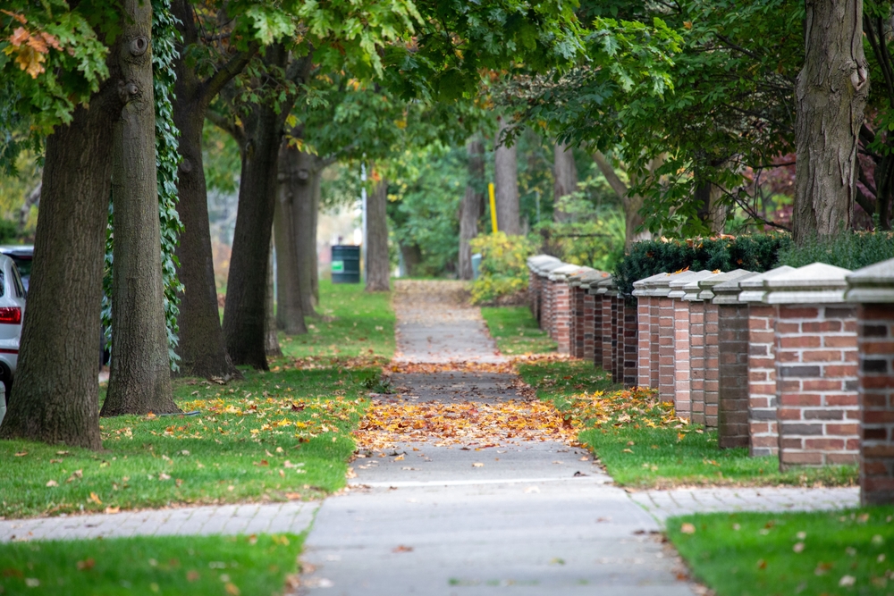 Upscale Community Amenities