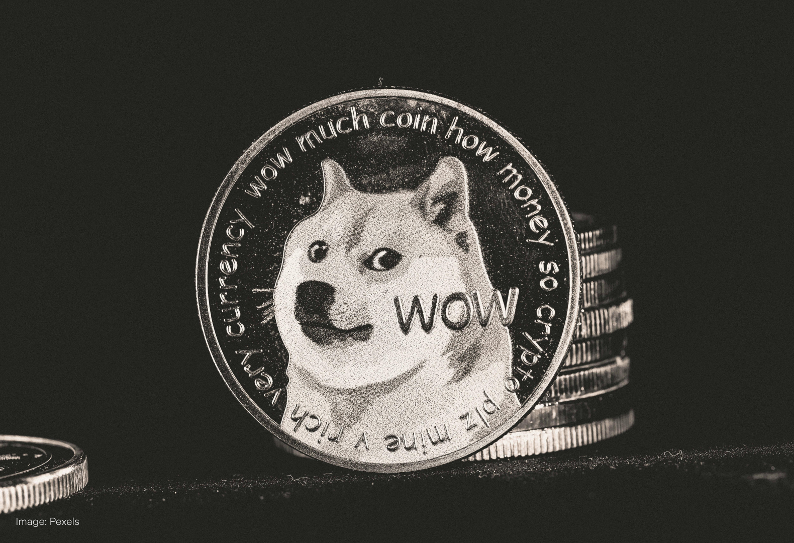 DOGE | Stake