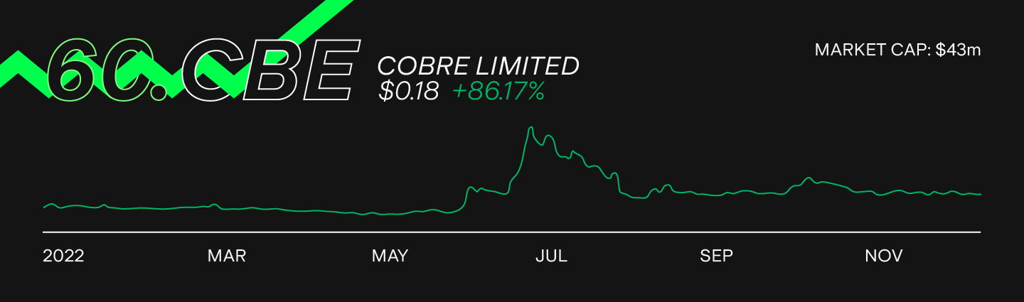 Stockest 100 continued Stake