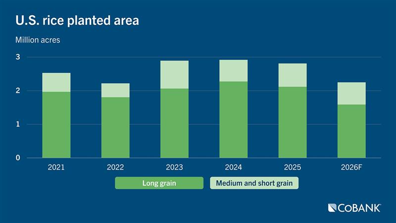 Stacked bar chart showing U.S. rice planted area from 2021 to 2026F in million acres, divided into long‑grain and medium‑ and short‑grain rice. Total planted area rises through 2024, then declines in 2025 and the 2026 forecast.