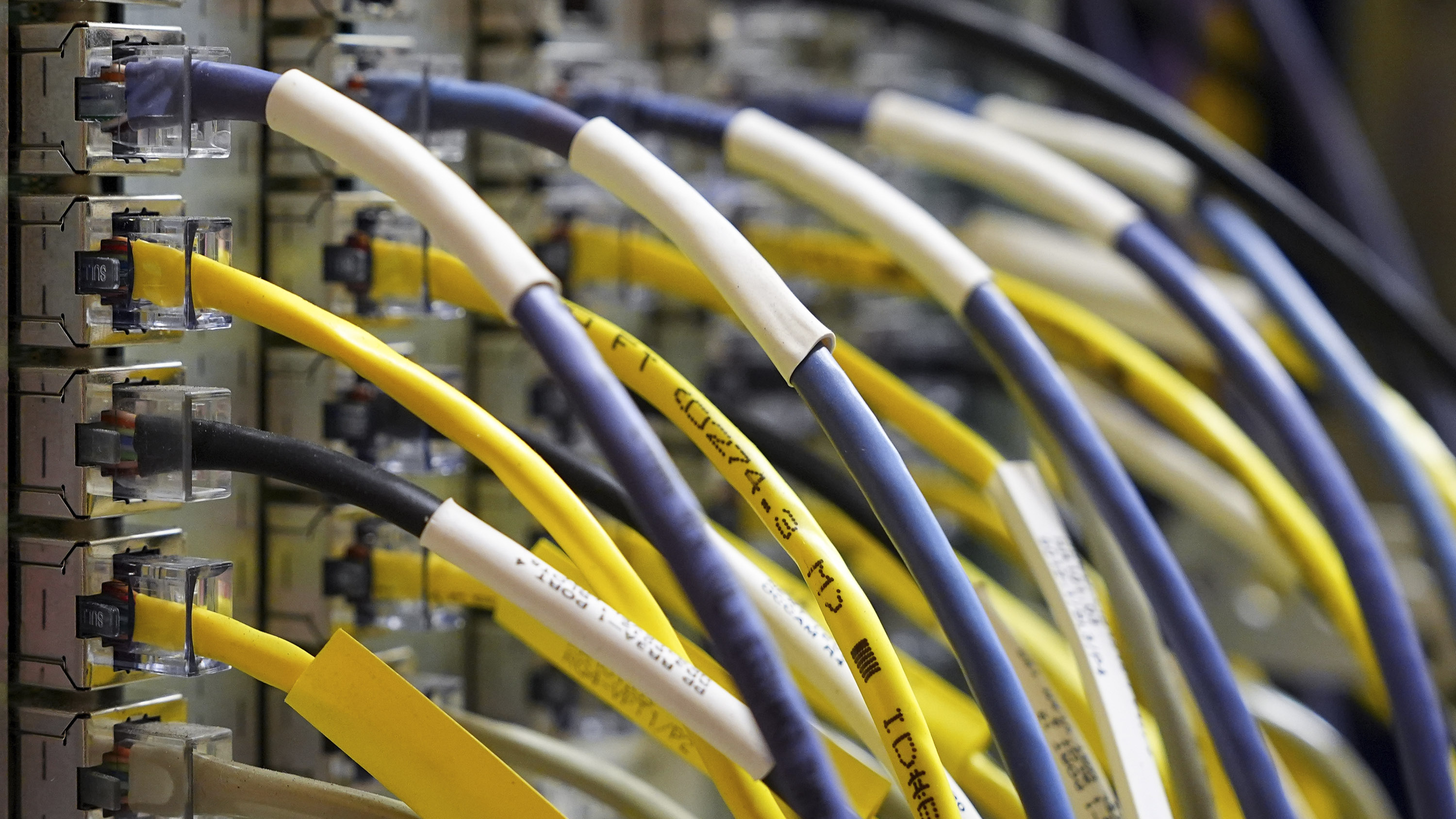 Multiple network cables, primarily yellow and gray, plugged into a server or network switch.
