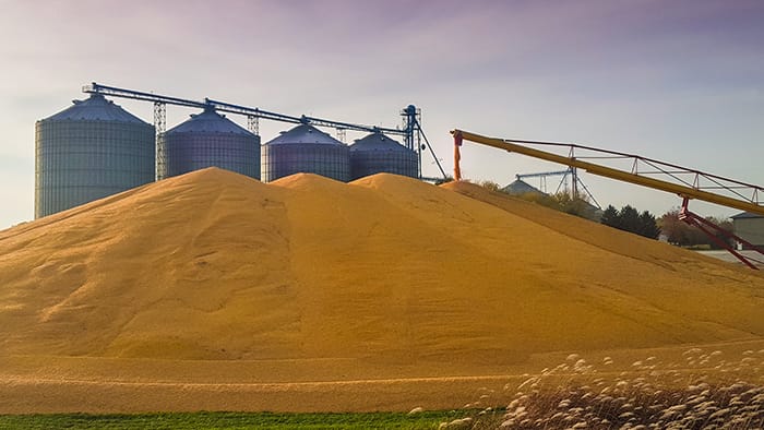 Grain logistics outlook: Record crop meets trade uncertainty