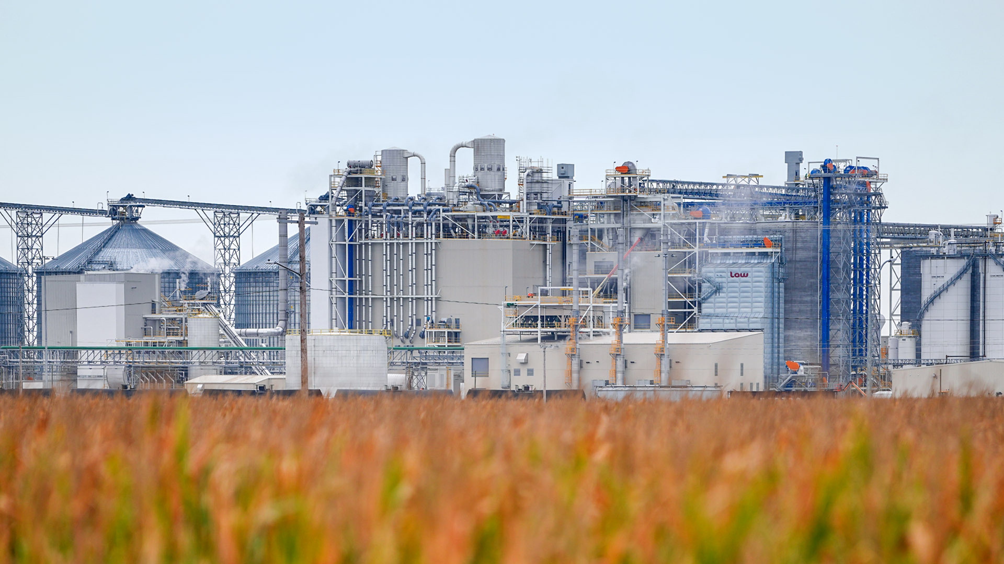 Industrial grain‑processing facility behind a field of crops on a clear day.