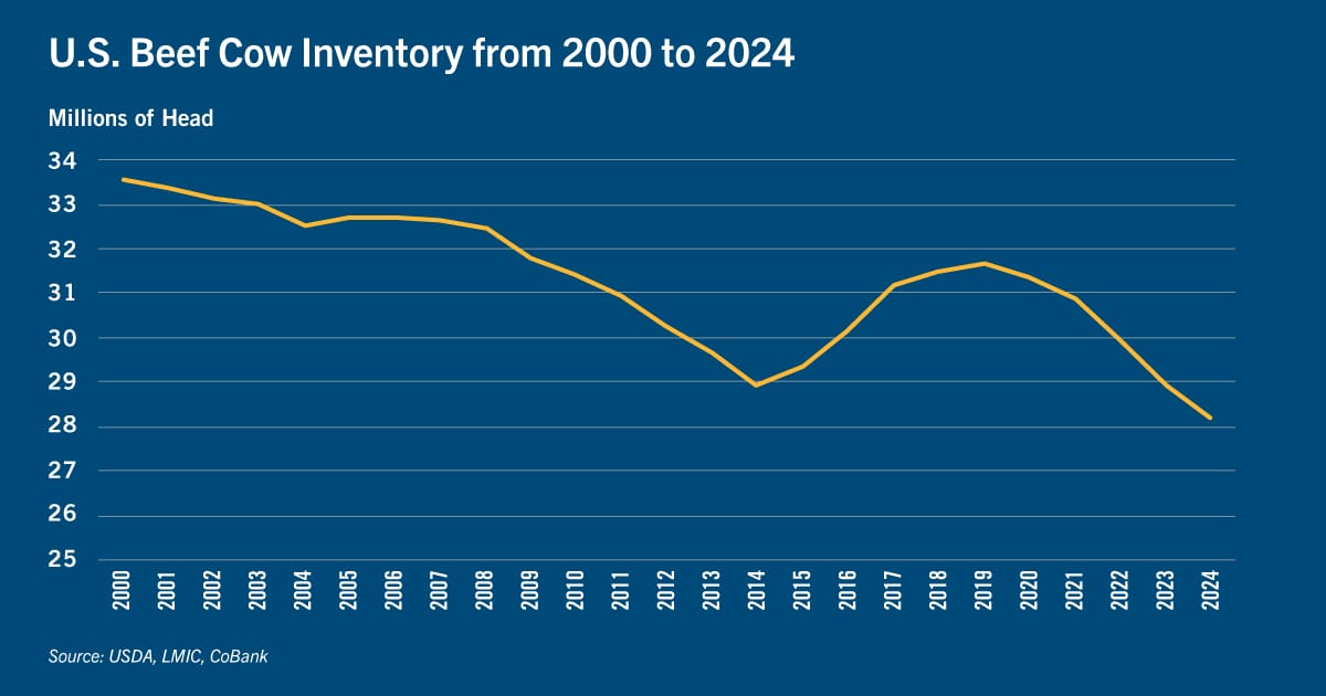 Chart: U.S. beef cow inventory from 2000 to 2024